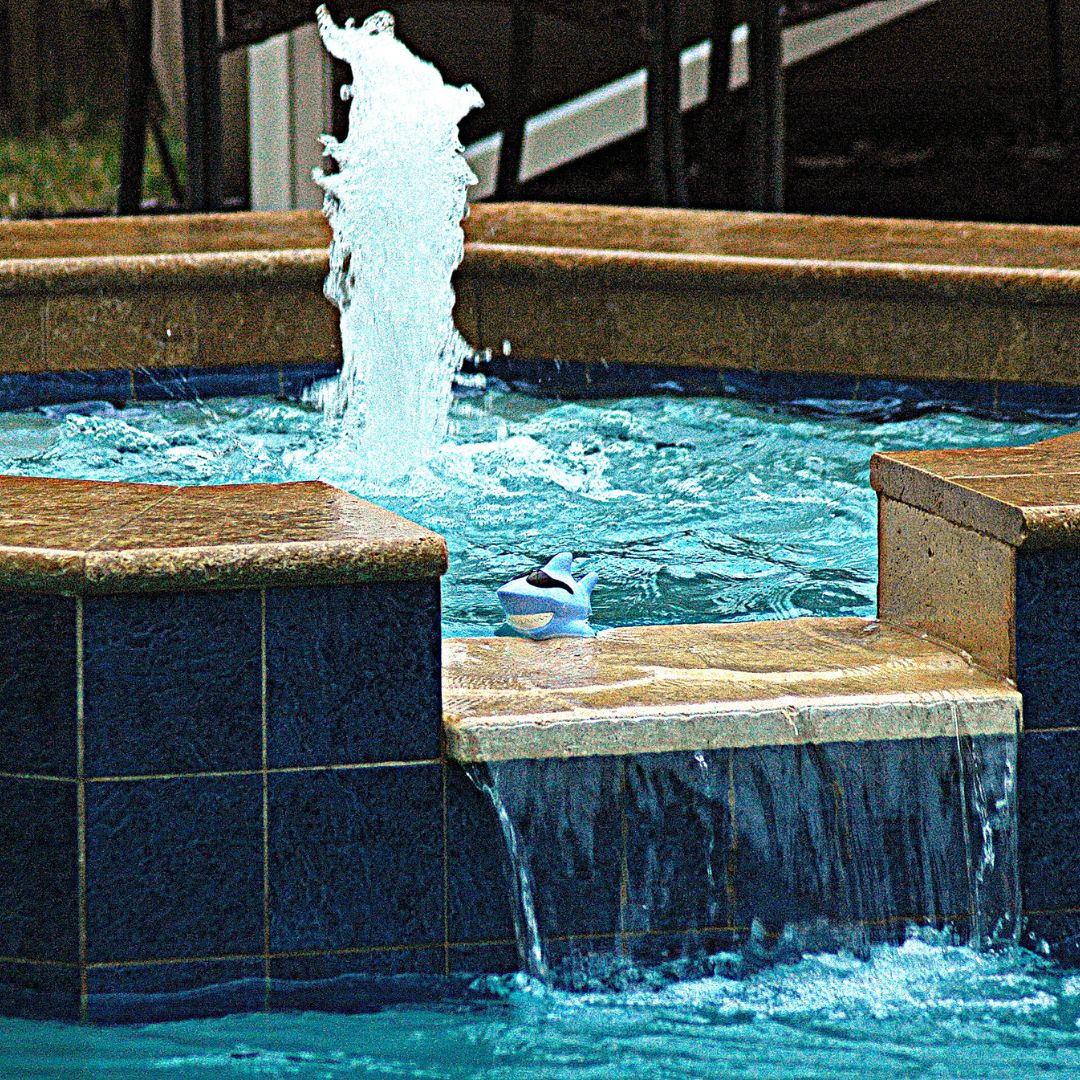 swimming-pool-construction